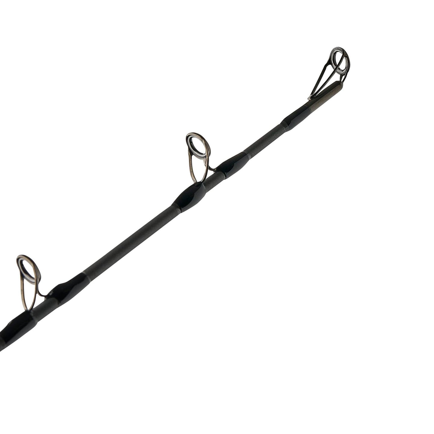 Beast Casting Rod