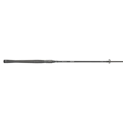 Beast Spinning Rod